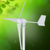 无锡小型风力发电机生产厂家M4型600W3叶 岛屿用风力发电机