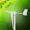 M4型700W草原用风力发电机组 家用风力发电机 新能源风力发电机