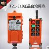行车遥控器 F21-E1B遥控器 无线工业遥控器天车 台湾禹鼎遥控器
