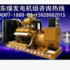 东煌上海上柴450千瓦柴油发电机组 成都上柴股份450千瓦发电机