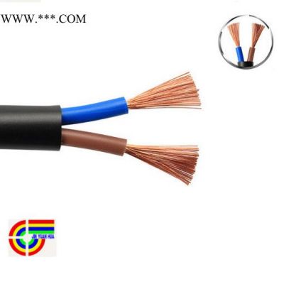 远华RVV2芯4平方软护套二芯国标纯铜黑色控制信号工控电源电缆线