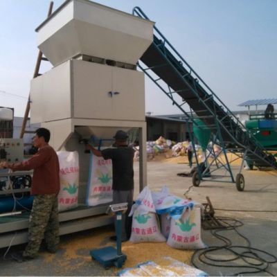 利民机械DCS-B100X2-ZZ粮食打包秤玉米包装称小麦包装机