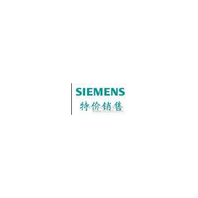 Siemens/西门子西门子PLC模块