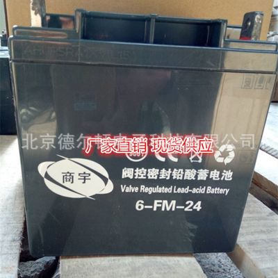 商宇蓄电池12V33AH 6-FM-33 监控 服务器免维护蓄电池厂销
