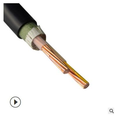 竹海yjv铜芯电缆2芯0.6/1kv低压电力电缆绝缘阻燃项目工程用电缆