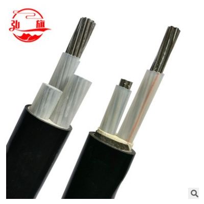 厂家直供铠装2芯铝芯电缆 YJLV/YJLV22型号架空阻燃电缆低压电缆