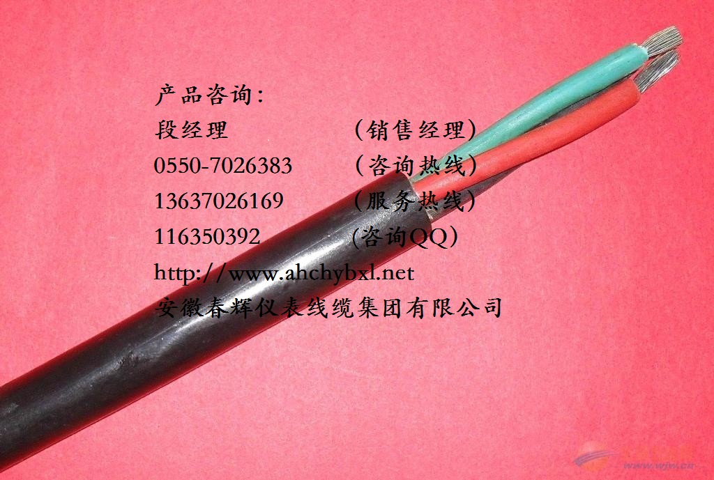 ZR-DJF46-PGR-2*2*1.5计算机电缆